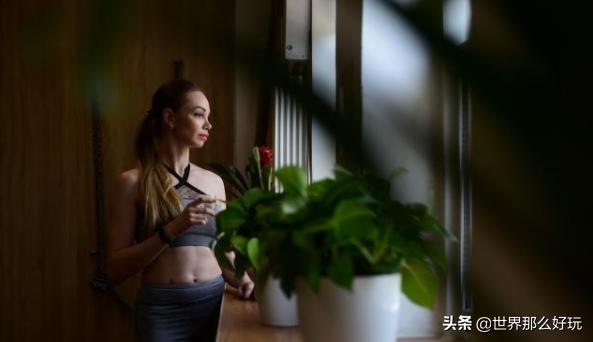 新澳门2024年资料大全—宫家婆的独到见解新澳门2024年资料大全宫家婆四不象