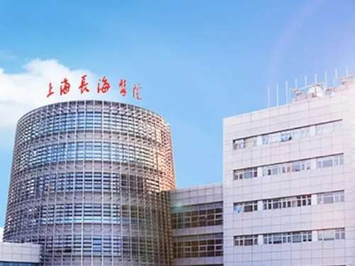 专业信誉与品质