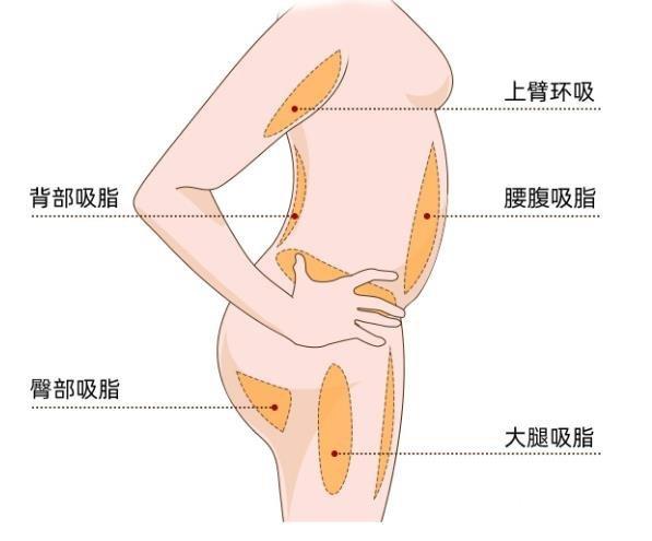 第2078页