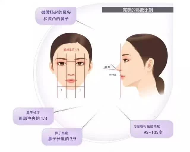 鼻子整容价格，全面解析与深度探讨