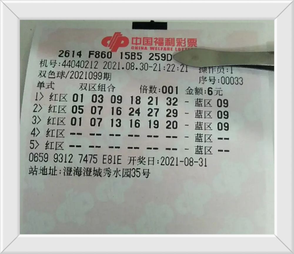 新澳门内部三肖三码精准期期公开，探索与解读彩票文化背后的秘密