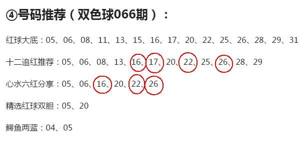 双色球预测号码