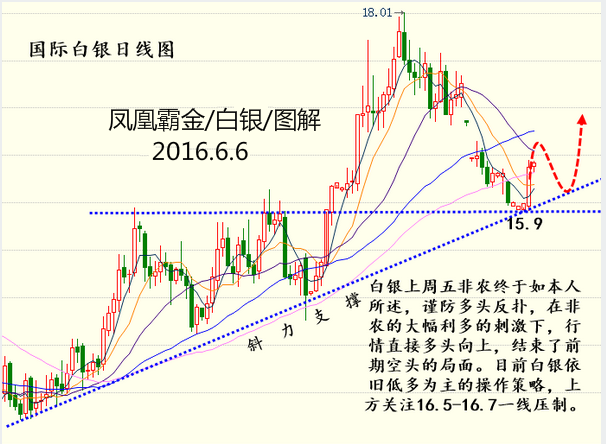 今天彩界扛霸子独胆一码，揭秘背后的故事与趋势