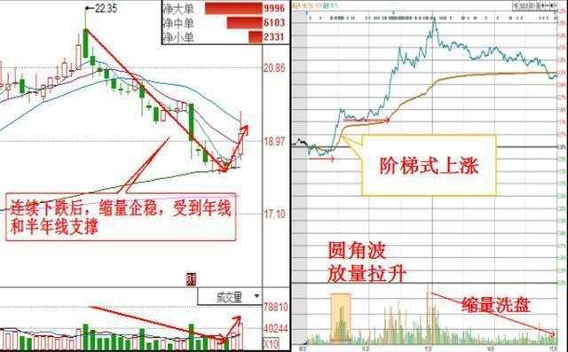 排列五百位振幅走势图，深度解析与预测