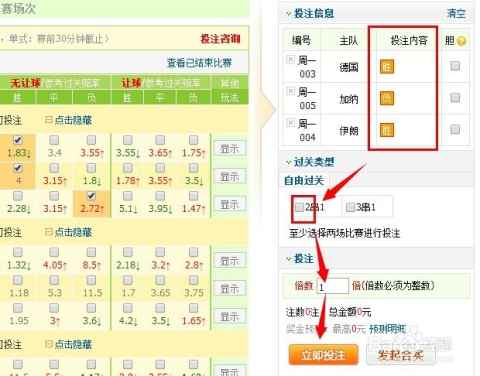 揭秘澳门彩票开奖背后的故事，探寻未来的奥秘与期待2024年奥门今晚开奖结果查询