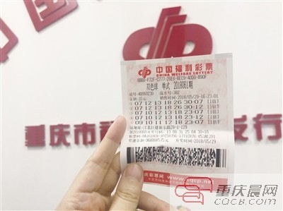 双色球开奖结果500期走势图表浙江风采的独特魅力