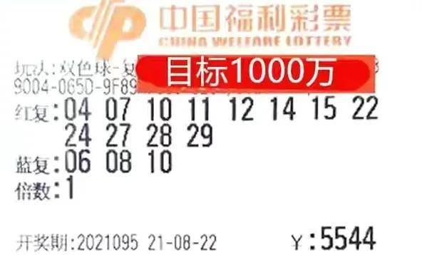 双色球2022年第095期开奖号码的奥秘与影响
