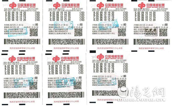 福彩3D字谜便民工作室总汇，探索字谜的魅力与福彩的乐趣