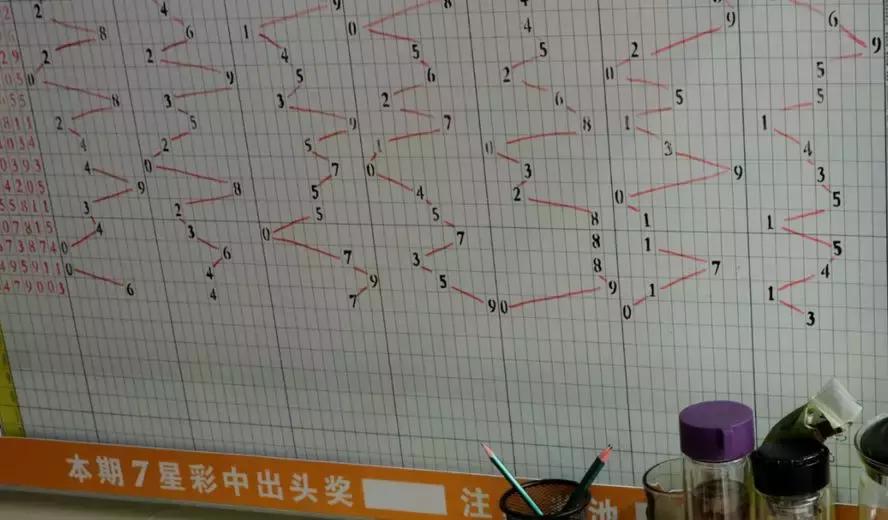 新浪彩票大乐透综合走势图，揭示彩票背后的秘密与策略分析