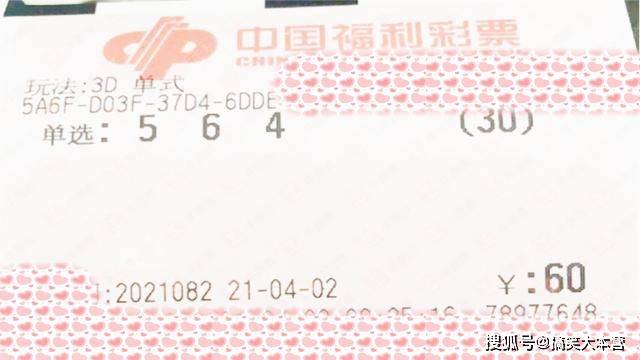 今晚开奖揭秘，全面解析3D开奖号码查询