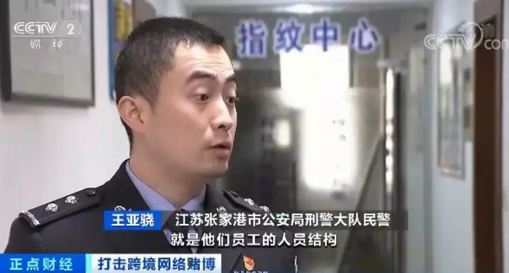今期澳门彩开奖结果，揭秘彩票背后的故事今期澳门彩开奖结果2023年