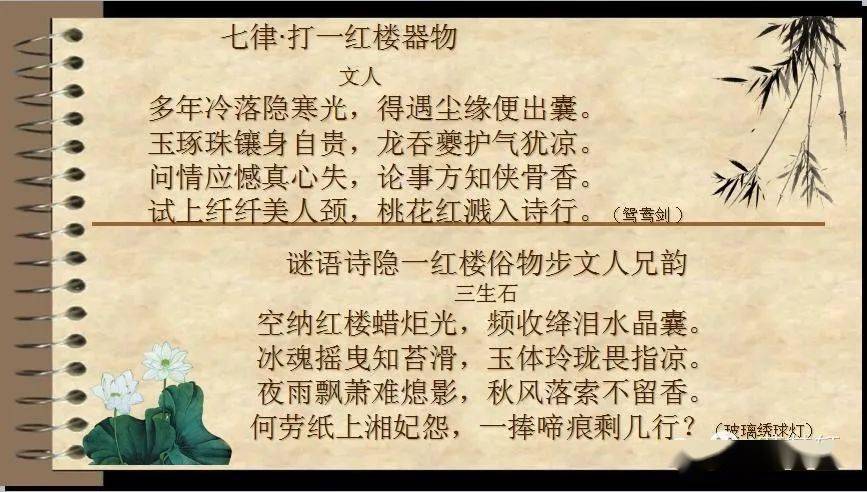 澳门天天六开彩免费资料，探索彩票世界的奥秘与机遇（2023版）2024年澳门天天开好彩