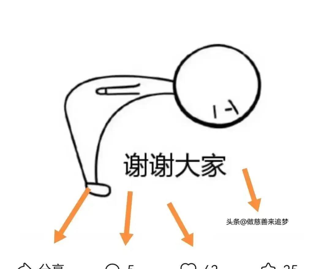 福利彩票双色球今日开奖结果及深度解读