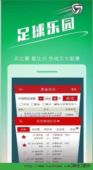 命中中彩的彩票专栏，揭秘彩票世界的奇迹与探索