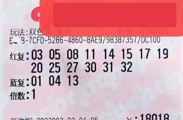澳门天天六开彩免费资料，探索彩票世界的神秘面纱2025新澳门天天免费精准开奖