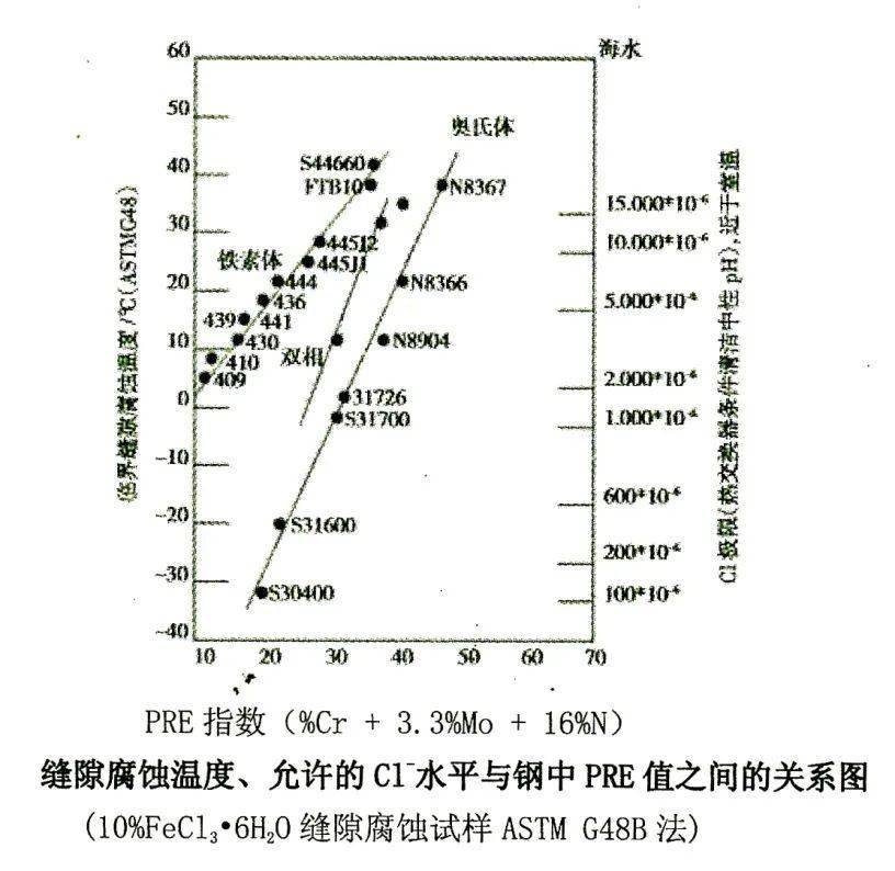 P62与LC3关系的探究