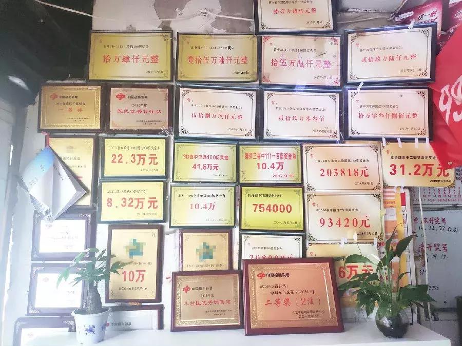 四肖选一肖中特特，揭秘彩票背后的秘密与策略四肖选一肖中特特官方版预约