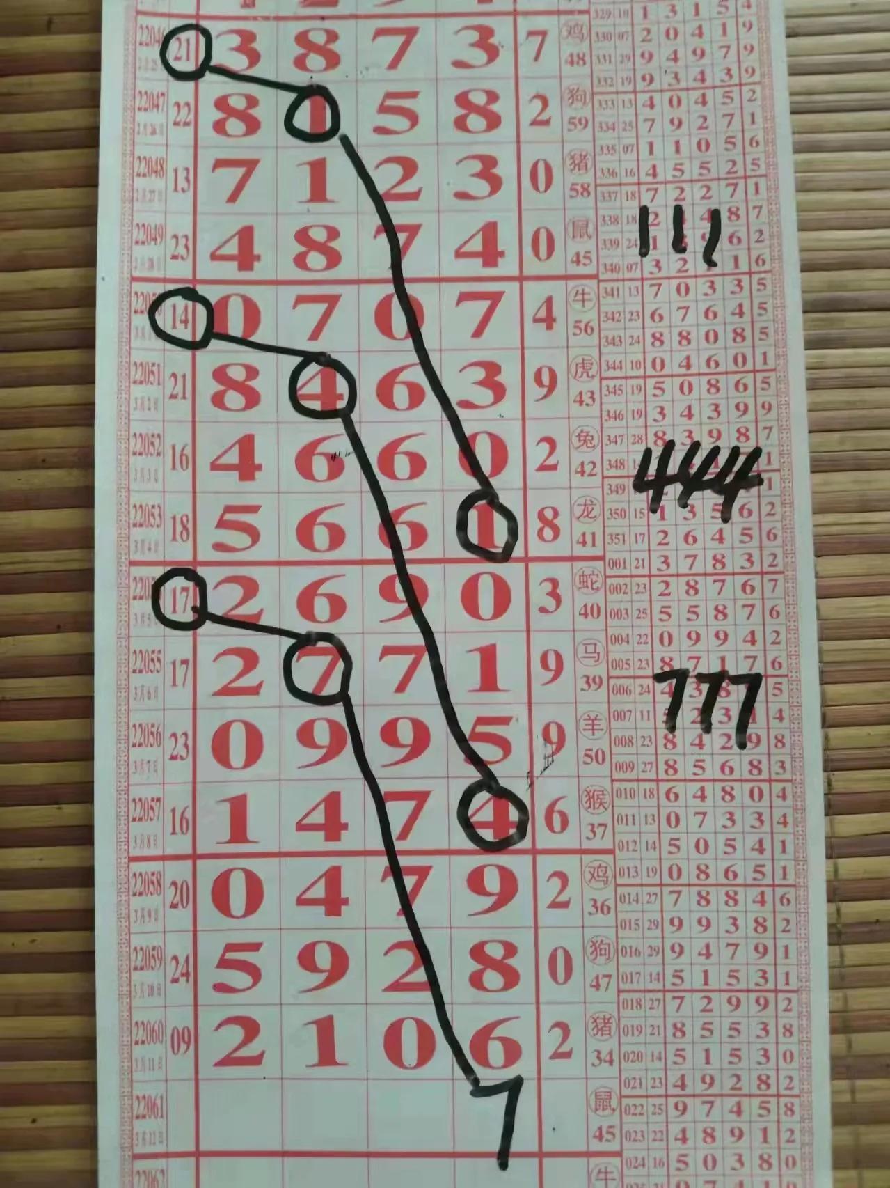 排列五的规律分析与探索