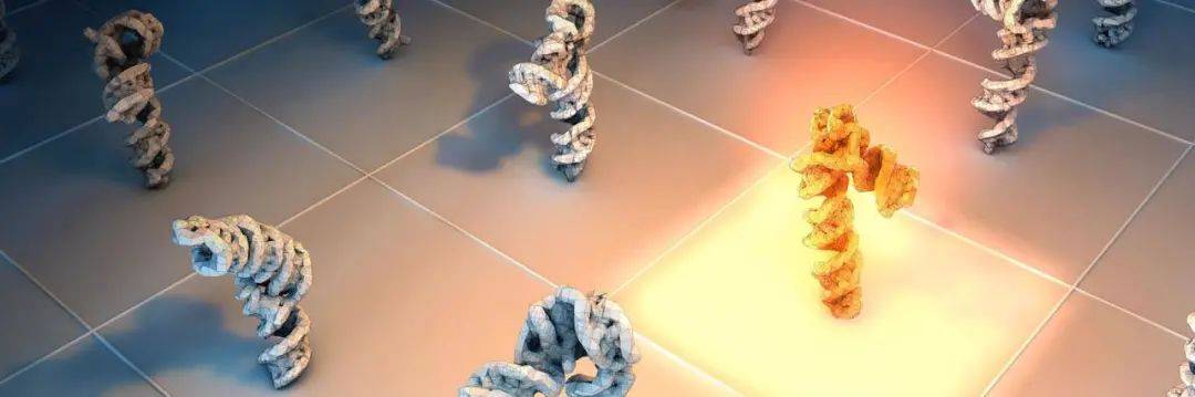 福彩3D预测最准确的计算方法探索