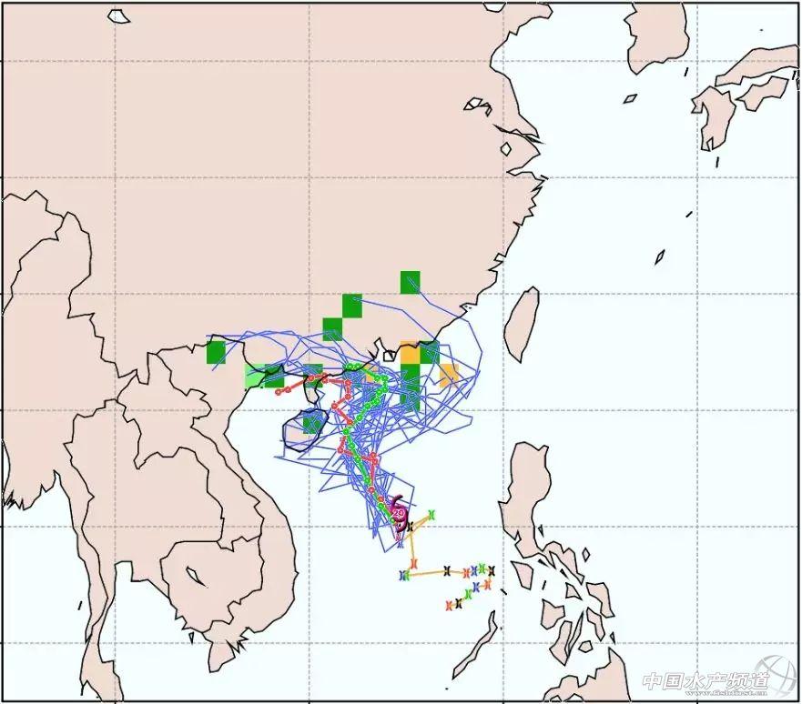 华东15选5彩票开奖时刻揭秘