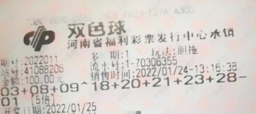 香港正版马会资料，探索赛马运动的魅力与数据世界2025白姐免费全年资料