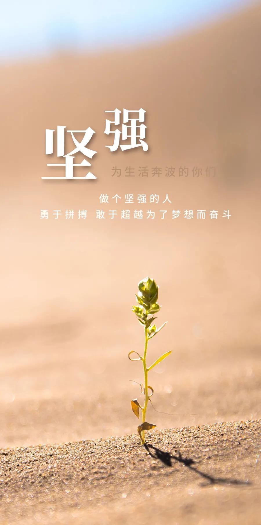揭秘2021年六开彩完整版，开奖规则与玩法解析