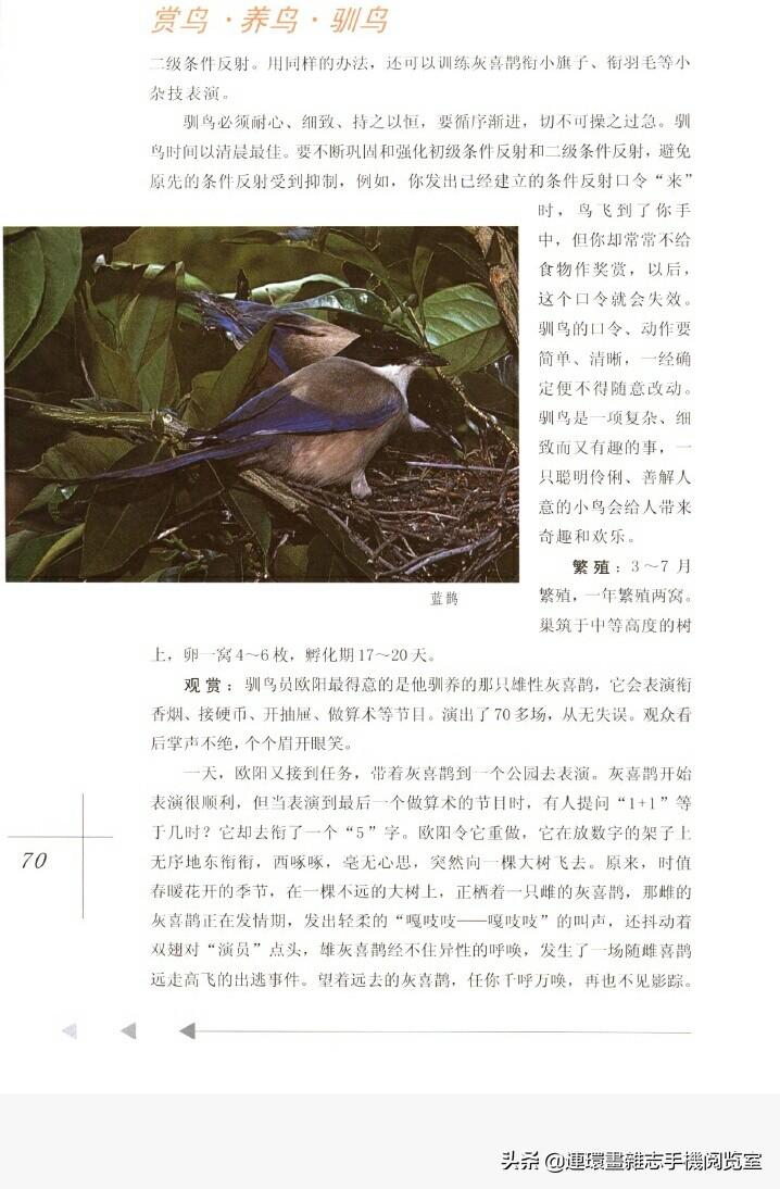 广东彩民必看，揭秘广东十一选五开奖结果查彩图