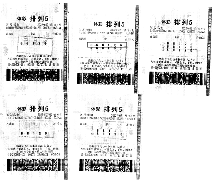 辽宁体彩排列五，探索数字游戏的魅力与挑战