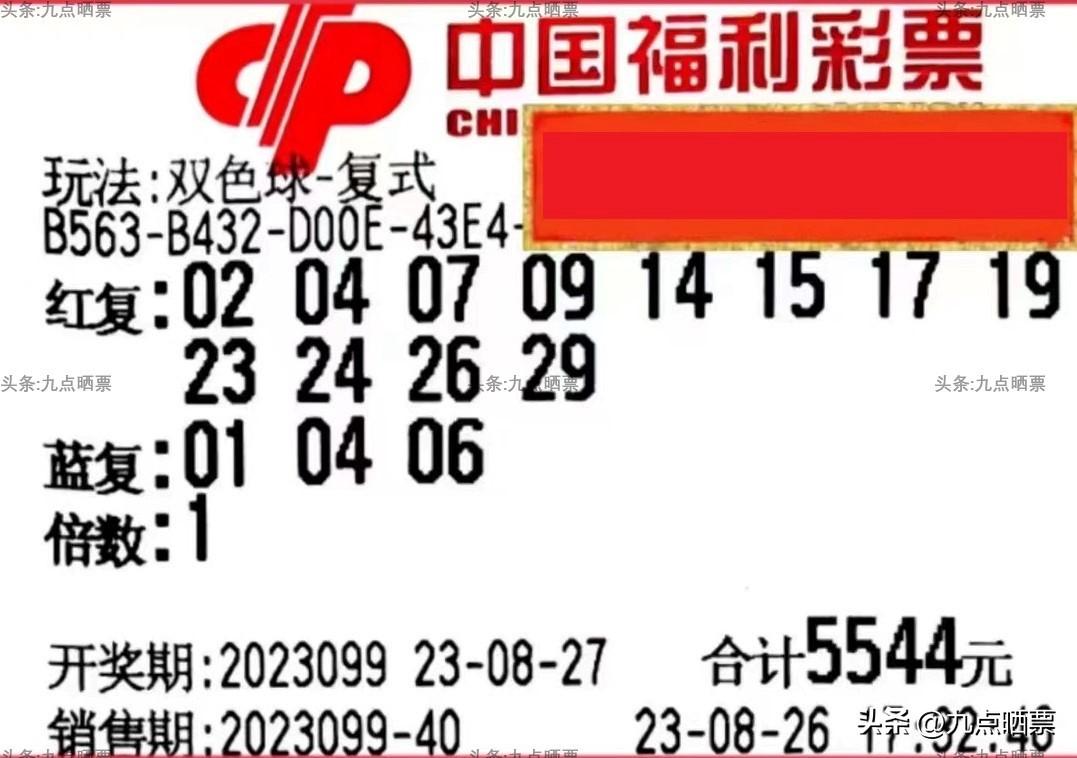 双色球开奖号码结果中的两个号码，运气与策略交织的奇妙之旅