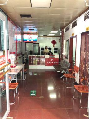 双色球连线分布图，揭示彩票背后的秘密与策略