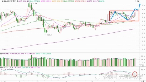 探索2元网排列五基本走势图，连号的奥秘与策略
