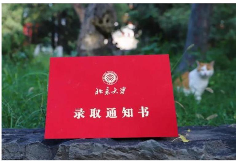 探索澳门六开彩的魅力，迎接2024年的新篇章澳门六和开彩开奖结果十网站