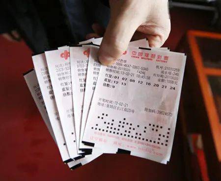 双色球中奖结果查，揭秘彩票背后的故事
