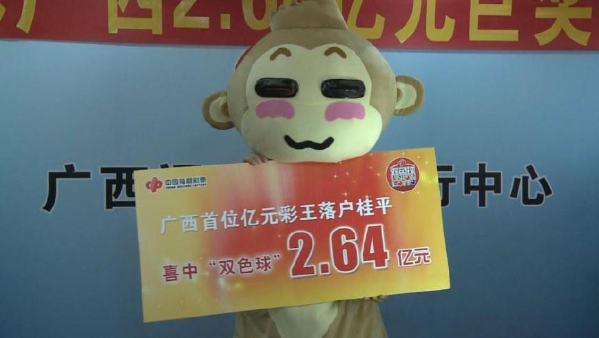 不同类型彩票的信息对比研究