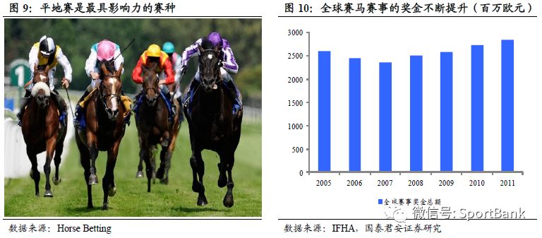 香港今晚特马开什么，探索赛马运动的魅力与未来展望2023年香港今晚特马开什么号码