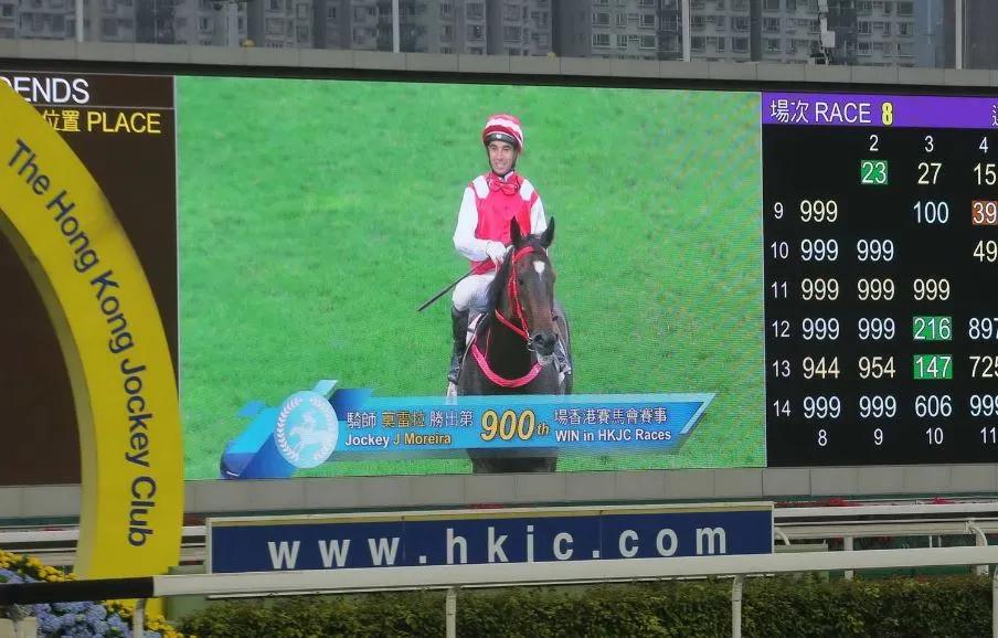 香港马会开奖结果直播，赛马运动的魅力与实时开奖的吸引力