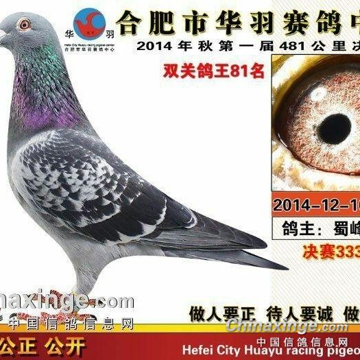 香港王中王资料大全免费