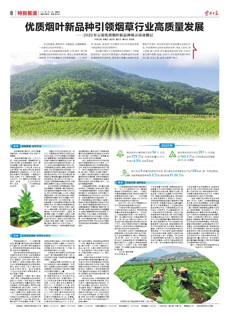 敦烟网VGX8—探索新型烟草制品的前沿科技