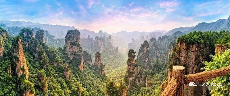 澳门资料大全，探索与下载之旅下载澳门资料大全4大生肖