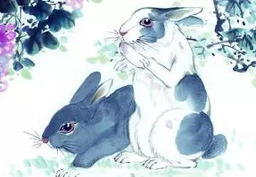 今晚澳门三肖兔羊蛇的魅力与神秘今天晚上澳门三肖兔羊蛇企业传承书