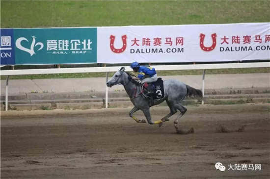 揭秘澳门彩票开奖结果，探寻2023年开奖记录的魅力与奥秘新老澳门开奖结果2023开奖记录查询
