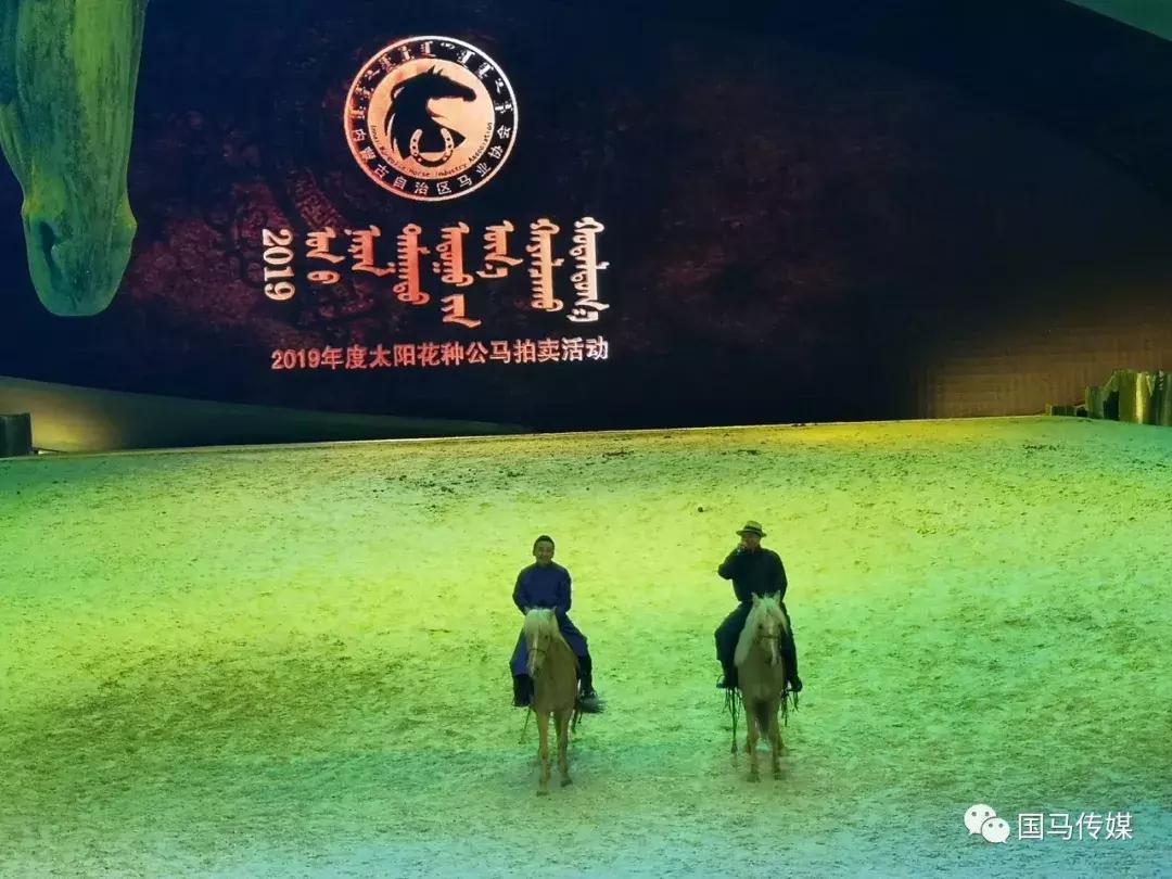 探索澳门彩票文化，2024澳门天天开好彩精准24码2025年澳门今晚开奖号码