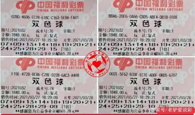 新澳好彩免费资料查询2024，探索彩票世界的机遇与挑战7777788888精准管家婆全准