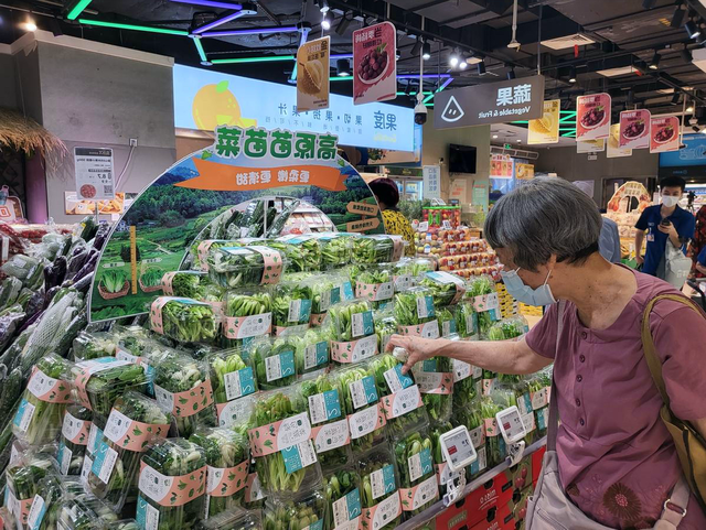 探索旺角彩，246天下彩与9944CC的魅力天下彩944cc旺角好料