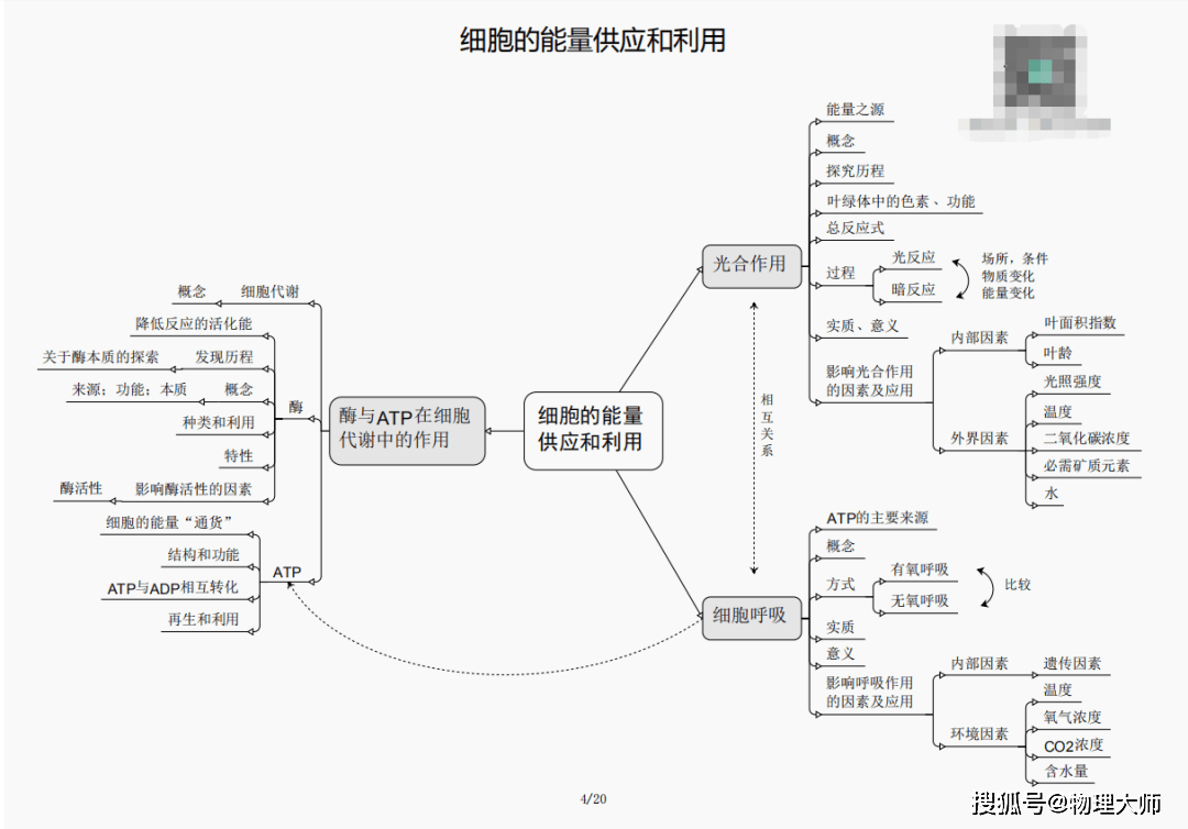 澳门精准三肖三码三期内必出之秘澳门精准三肖三码三期内必出土数是哪几个生肖