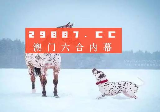 澳门2023精准一肖一码的秘密与探索澳门2023精准一肖一码网站