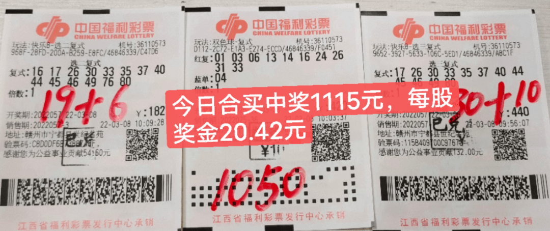 白小姐一肖一码中奖，幸运降临的奥秘与启示白小姐一肖一码中奖经验分享