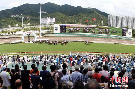 探索香港马术运动，2021年香港马内部免费资料深度解析