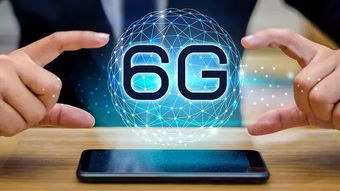 新奥2024正版资料大全，探索与前瞻新奥2024正版资料大全一点红网