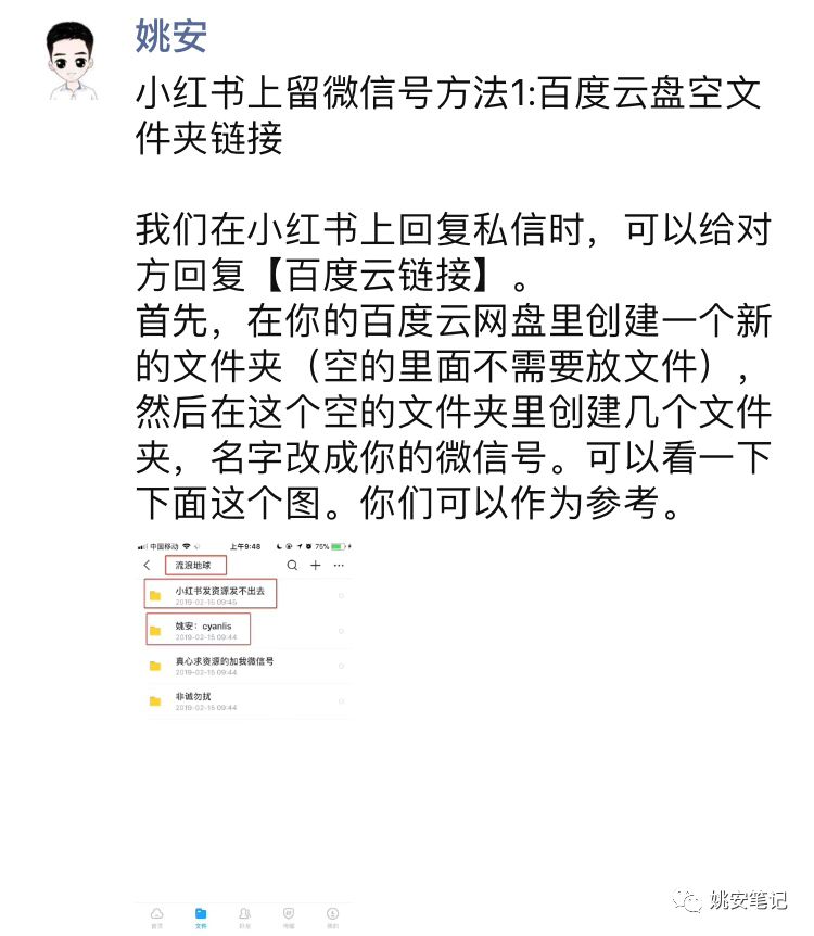 一肖三码，揭秘背后的奥秘与探索其深意一肖三码免费大公开